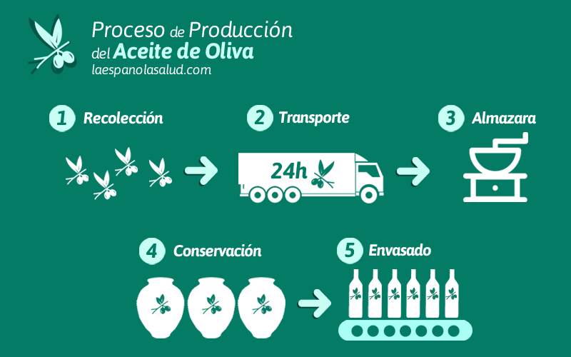 Infografía Proceso de Producción del Aceite de Oliva